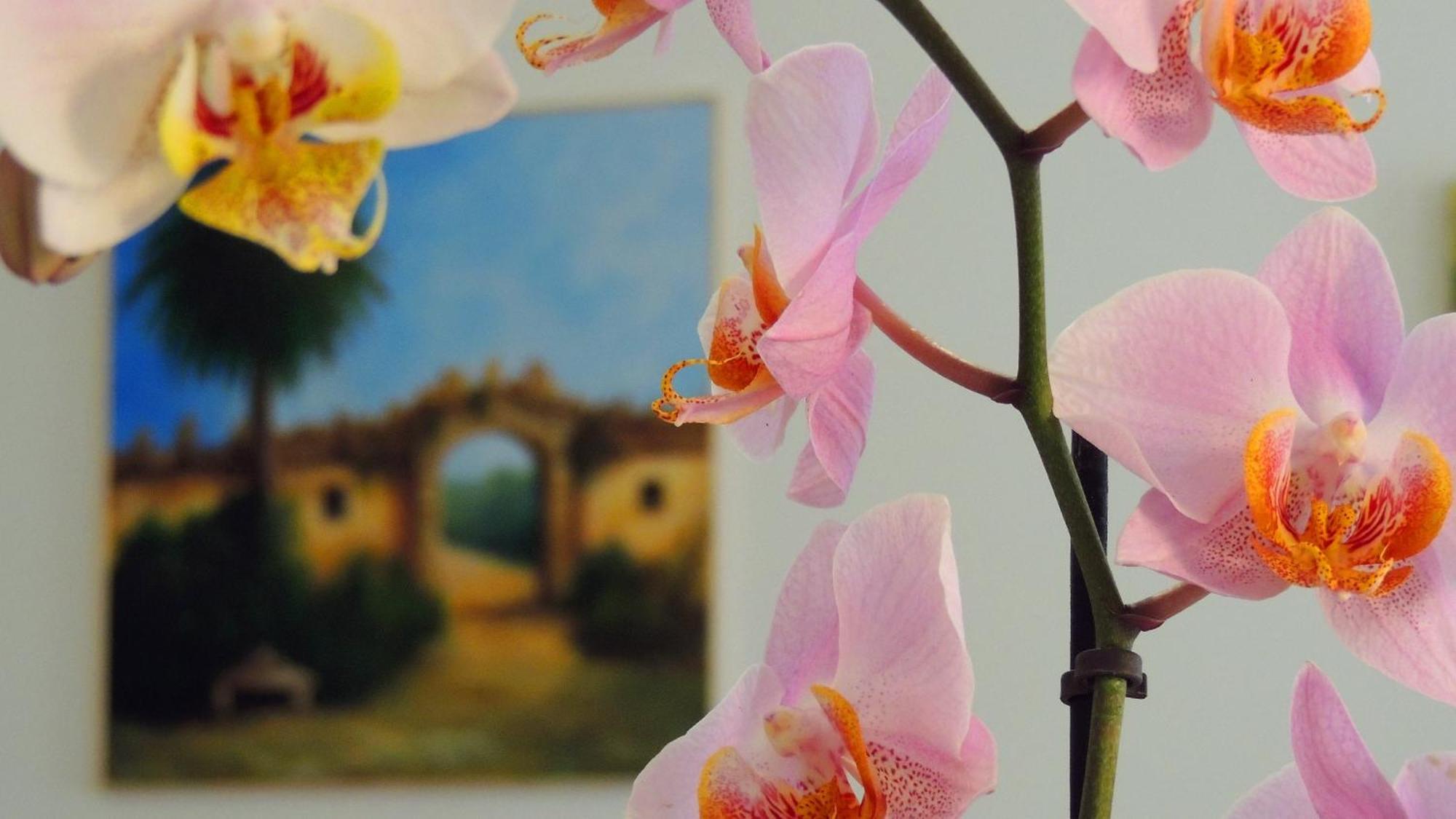 Bed and Breakfast In Itinera Palermo Esterno foto